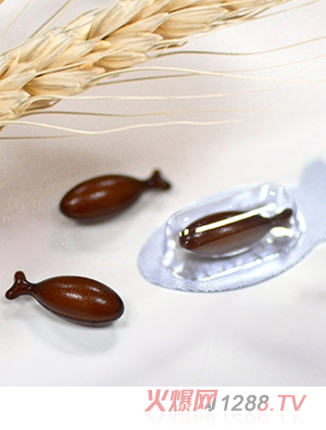 ���ߏ����F���z�ǹ�