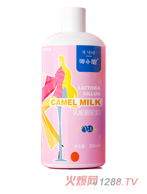 ��С���������