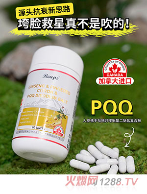 Reaps����˹�˅�������������������c�}�ͺϷ�