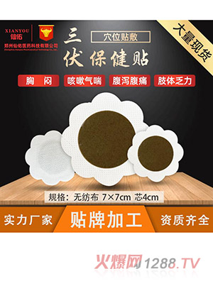 廠家現(xiàn)貨三伏貼冬季調(diào)理穴位貼溫灸發(fā)熱貼草本保健三九貼批發(fā)代發(fā)