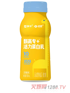 蒙牛邁勝臻高專+活力蛋白乳 草莓味